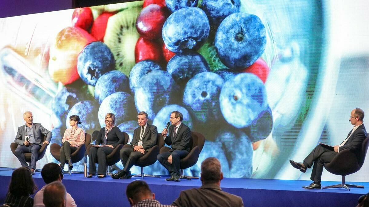 Blueberry_Conference_2019_ debate about cooperation relación buena|Andrea_Pergher_New_varietes|Blueberry_Confernce_2019 (2)|Blueberry_Confernce_2019|Show_pruning_Leon_Schrijnwerkers